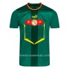 Camiseta de fútbol Senegal Segunda Equipación Mundial 2022 - Hombre